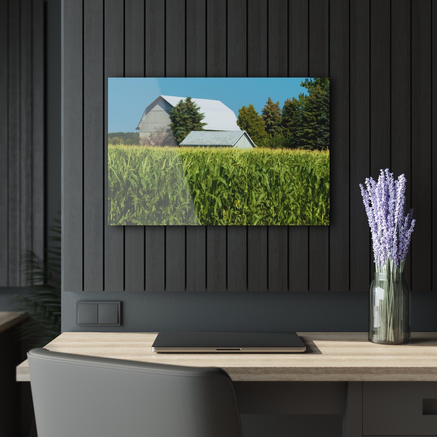 U R There Photography White Cornfield Barn Rustic Farmhouse Acrylic Wall Print