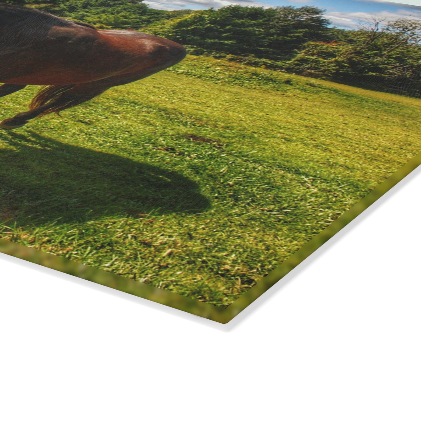 U R There Photography Brown Beauty II Rustic Farmhouse Tempered-Glass Cutting Board