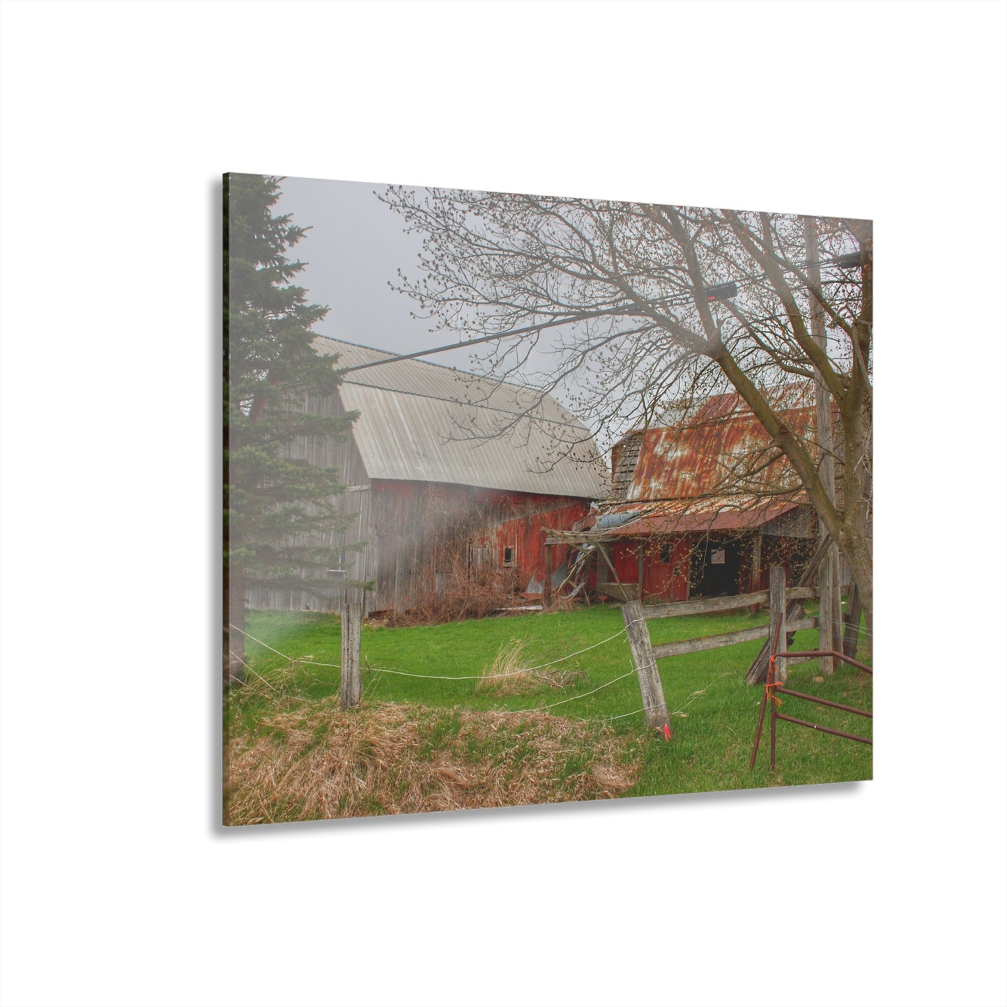 U R There Photography Dodge Road Forgotten Greys Rustic Farmhouse Acrylic Wall Print