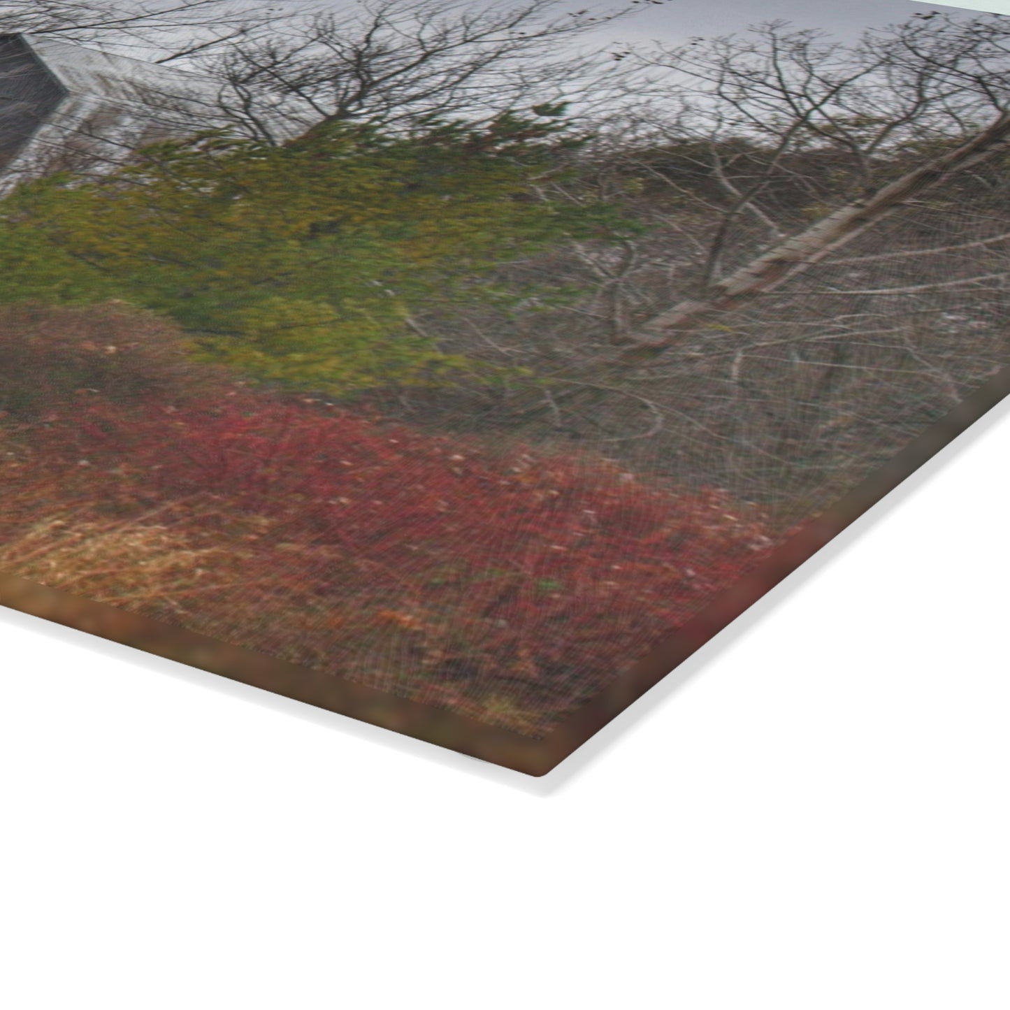 U R There Photography Freiberger Road Hidden Grey Rustic Farmhouse Tempered-Glass Cutting Board