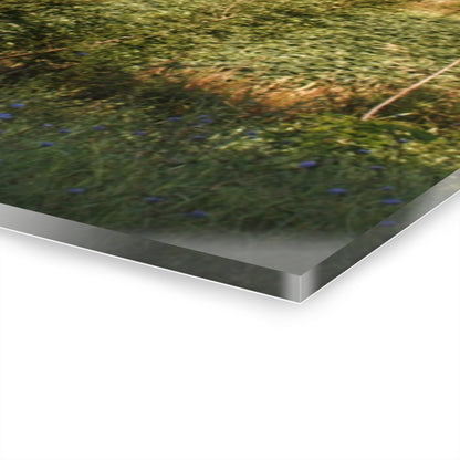 U R There Photography Genesee Road Red II Rustic Farmhouse Acrylic Wall Print