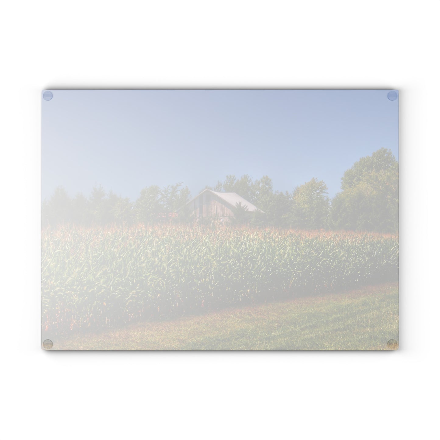 U R There Photography Beyond the Corn on Birch Run Road Rustic Farmhouse Tempered-Glass Cutting Board
