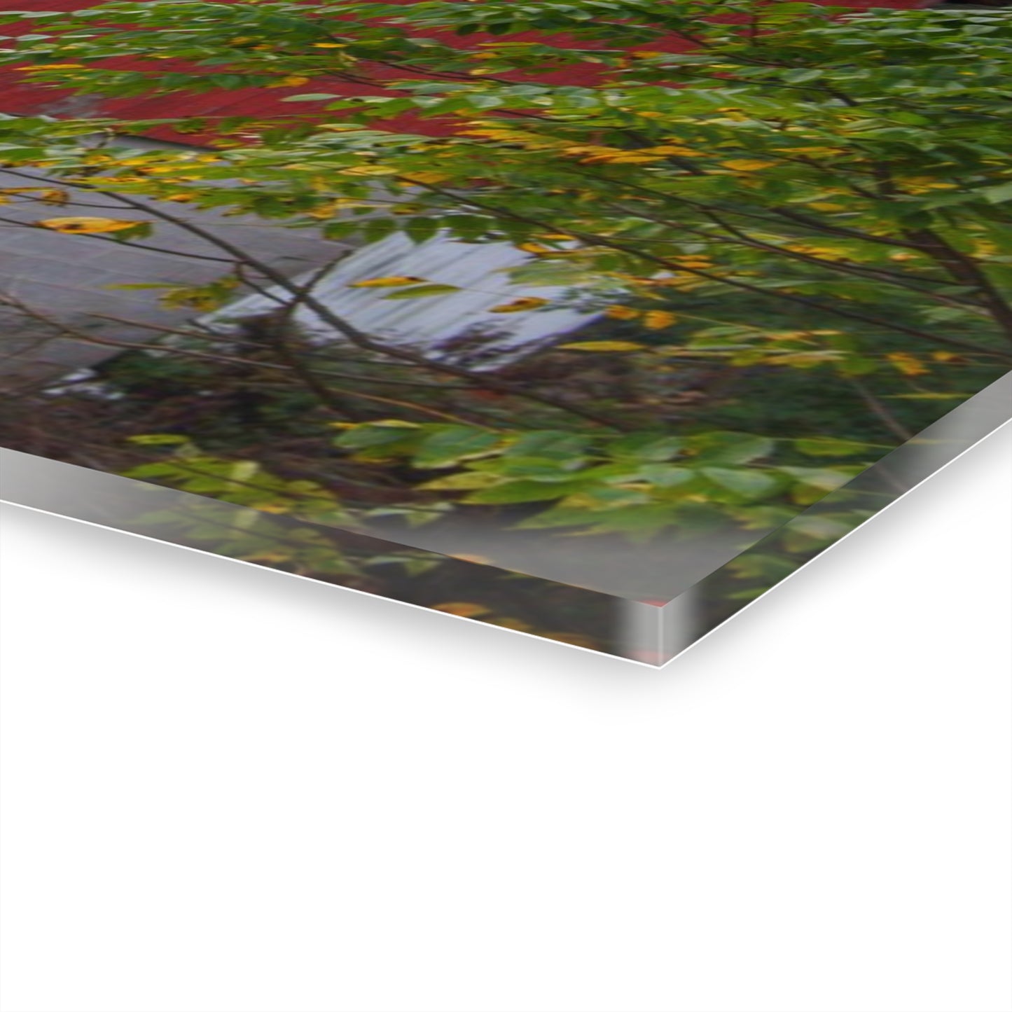 U R There Photography Brown Road Hidden Red II Rustic Farmhouse Acrylic Wall Print