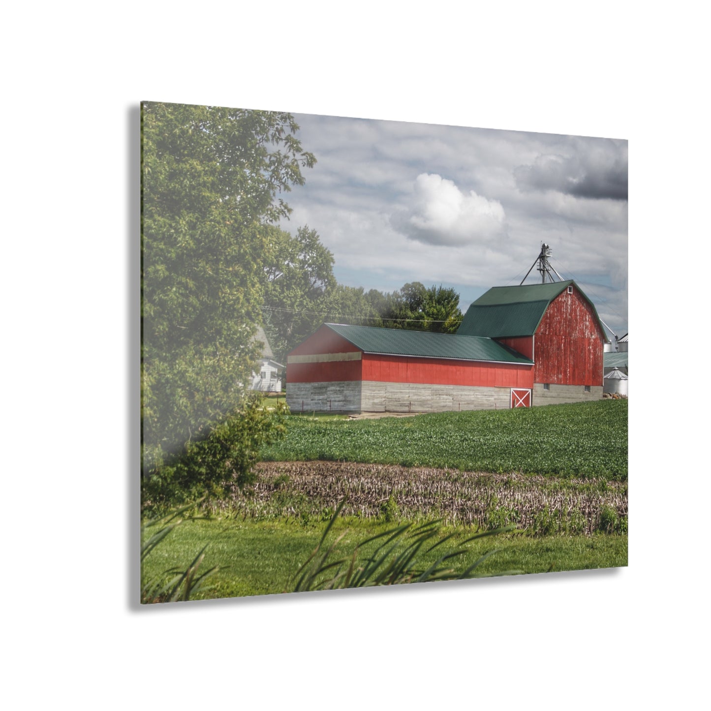 U R There Photography Haines Road Cornfield Reds Rustic Farmhouse Acrylic Wall Print