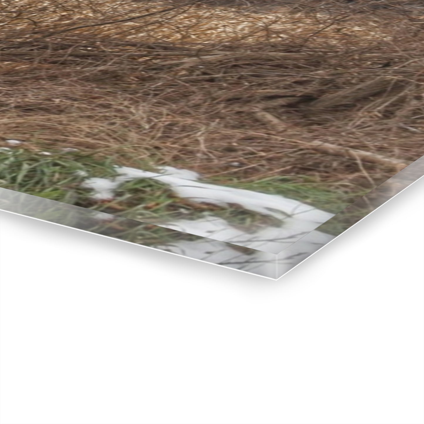 U R There Photography North Oxford Road Grey I Rustic Farmhouse Acrylic Wall Print