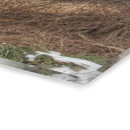 U R There Photography North Oxford Road Grey I Rustic Farmhouse Acrylic Wall Print