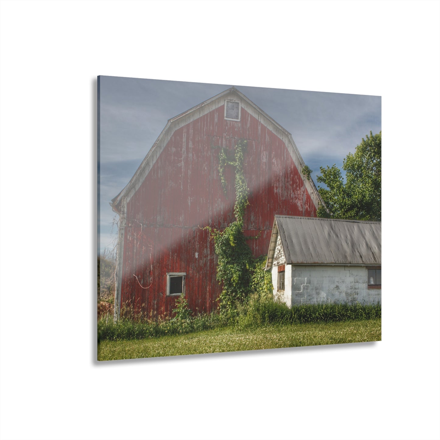 U R There Photography Stanley Road Red in Summer II Rustic Farmhouse Acrylic Wall Print