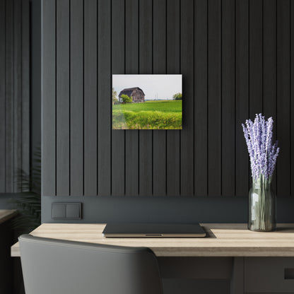 U R There Photography North Graf Road Old Grey Rustic Farmhouse Acrylic Wall Print