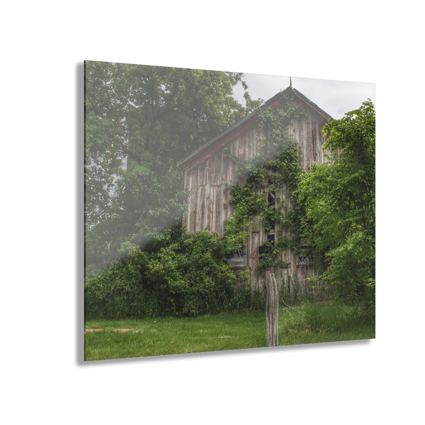 U R There Photography Imlay Hidden Rustic Farmhouse Acrylic Wall Print