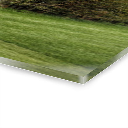 U R There Photography McDowell Road Grey Rustic Farmhouse Acrylic Wall Print