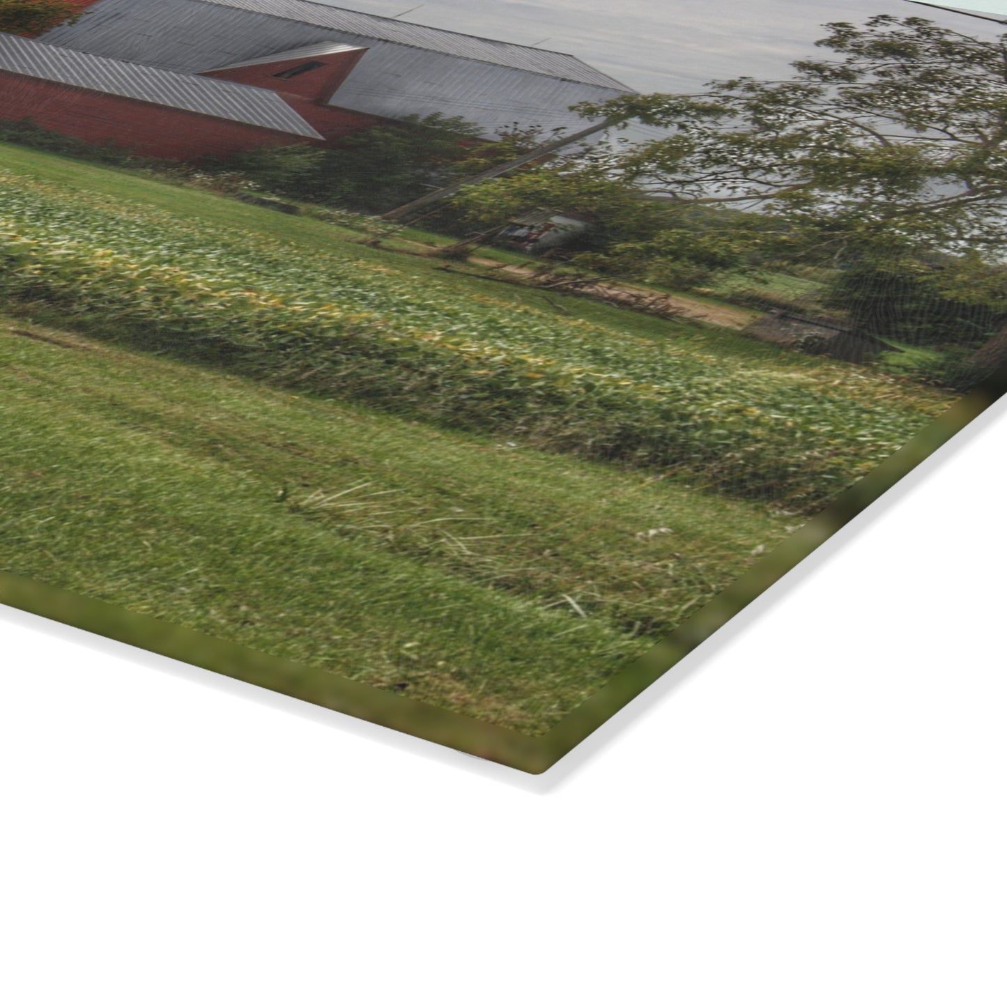 U R There Photography West Dodge Road Reds Rustic Farmhouse Tempered-Glass Cutting Board