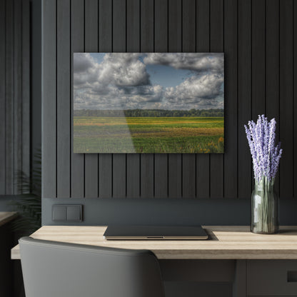 U R There Photography Skies of September Rustic Farmhouse Acrylic Wall Print