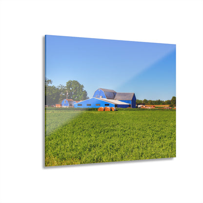 U R There Photography Kidder Road Blues II Rustic Farmhouse Acrylic Wall Print