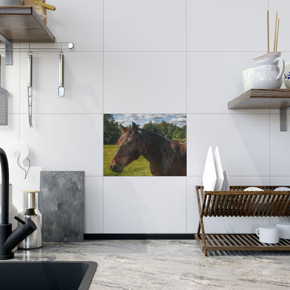 U R There Photography Brown Beauty I Rustic Farmhouse Decorative Ceramic Tile 6" × 8" Glossy