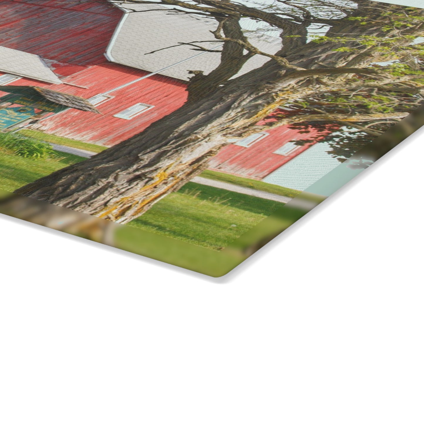 U R There Photography French Road Centennial Reds I Rustic Farmhouse Tempered-Glass Cutting Board