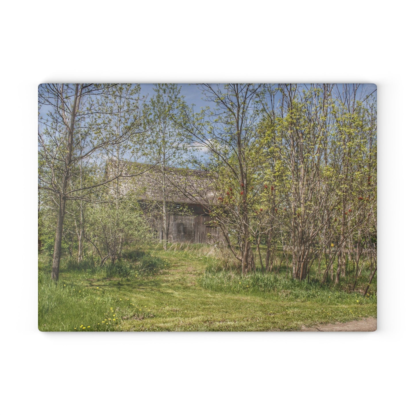 U R There Photography Bishop Road Grey I Rustic Farmhouse Tempered-Glass Cutting Board