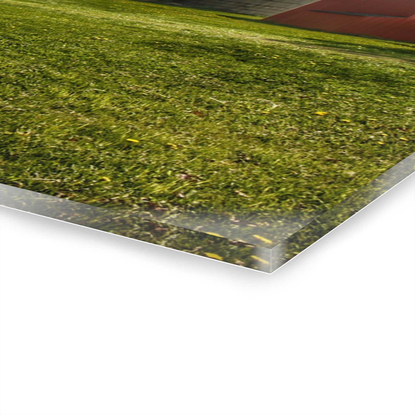 U R There Photography Maple Leaf Road Red Rustic Farmhouse Acrylic Wall Print