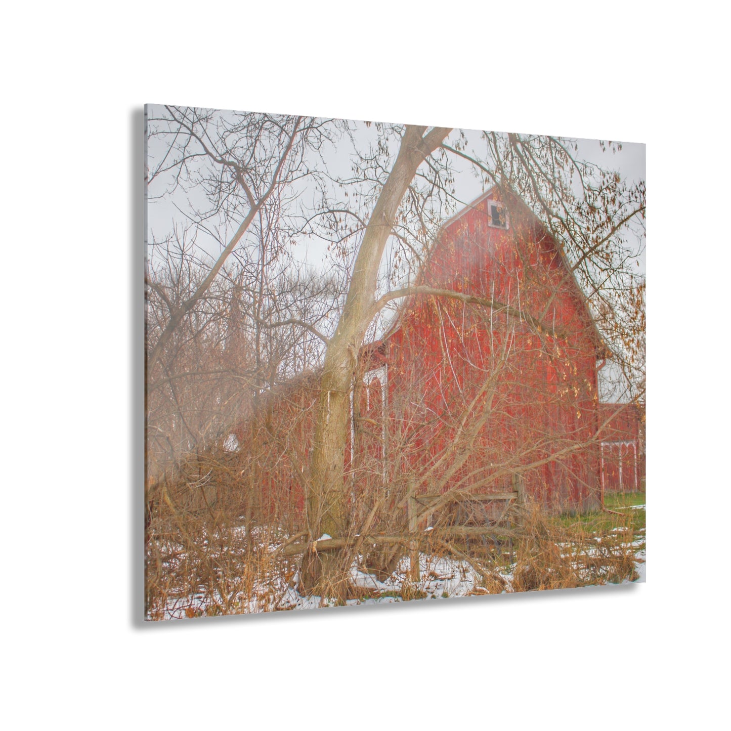 U R There Photography Holmes Road Red I Rustic Farmhouse Acrylic Wall Print