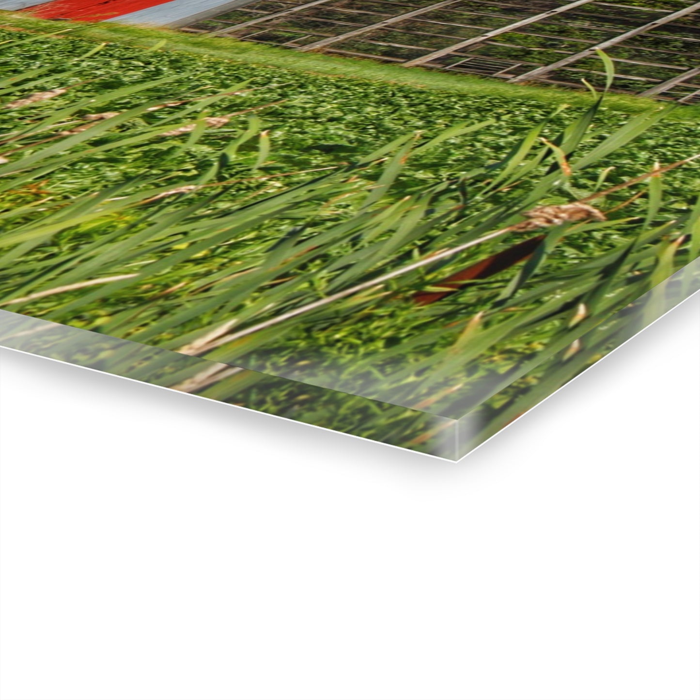 U R There Photography Montrose Farm II Rustic Farmhouse Acrylic Wall Print