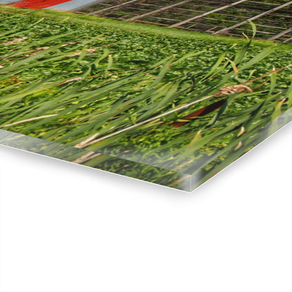 U R There Photography Montrose Farm II Rustic Farmhouse Acrylic Wall Print