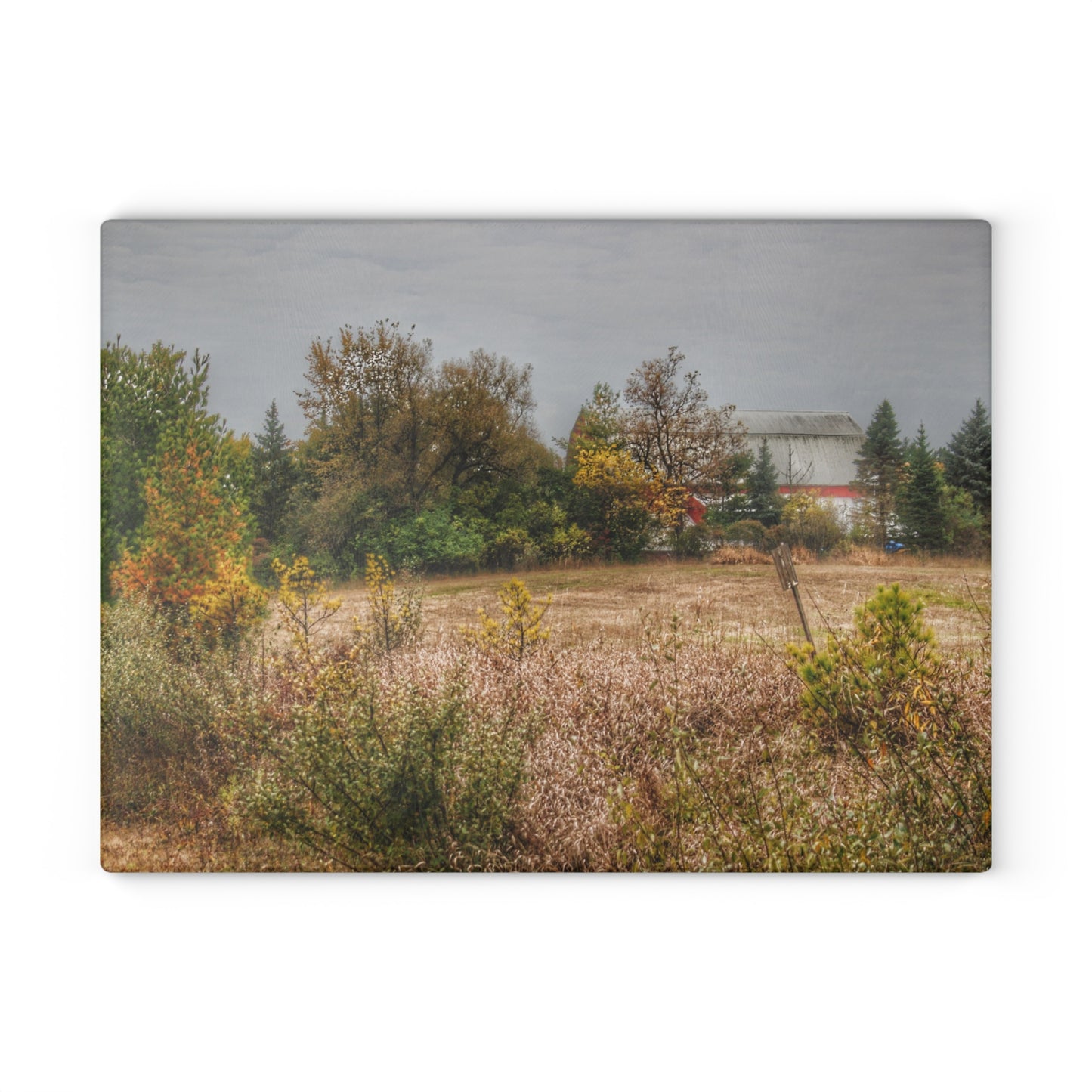 U R There Photography Hadley Road Hidden Red in Fall Rustic Farmhouse Tempered-Glass Cutting Board