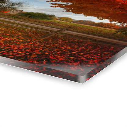 U R There Photography East Frances Road Hidden Grey II Rustic Farmhouse Acrylic Wall Print