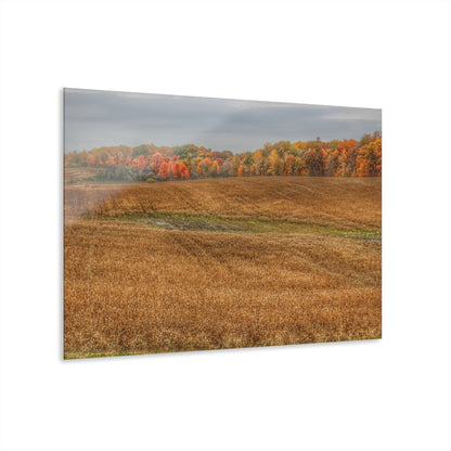 U R There Photography Colors of Fall on Lippincott Road Rustic Farmhouse Acrylic Wall Print