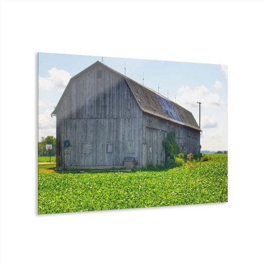 U R There Photography Morning Roadside Grey Rustic Farmhouse Acrylic Wall Print