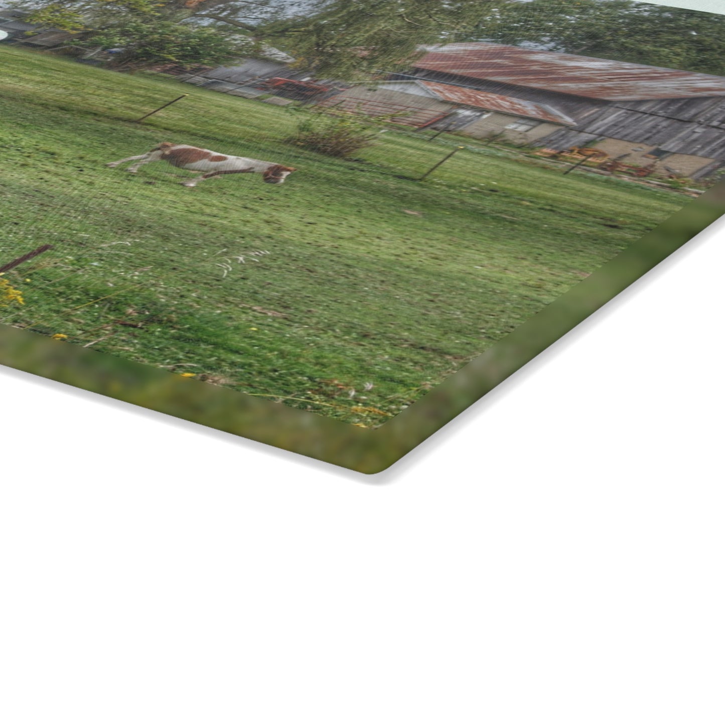 U R There Photography Front Yard Ponies Rustic Farmhouse Tempered-Glass Cutting Board