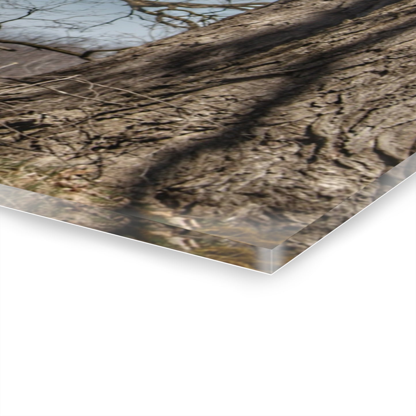 U R There Photography Hill Road Red Rustic Farmhouse Acrylic Wall Print