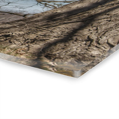 U R There Photography Hill Road Red Rustic Farmhouse Acrylic Wall Print