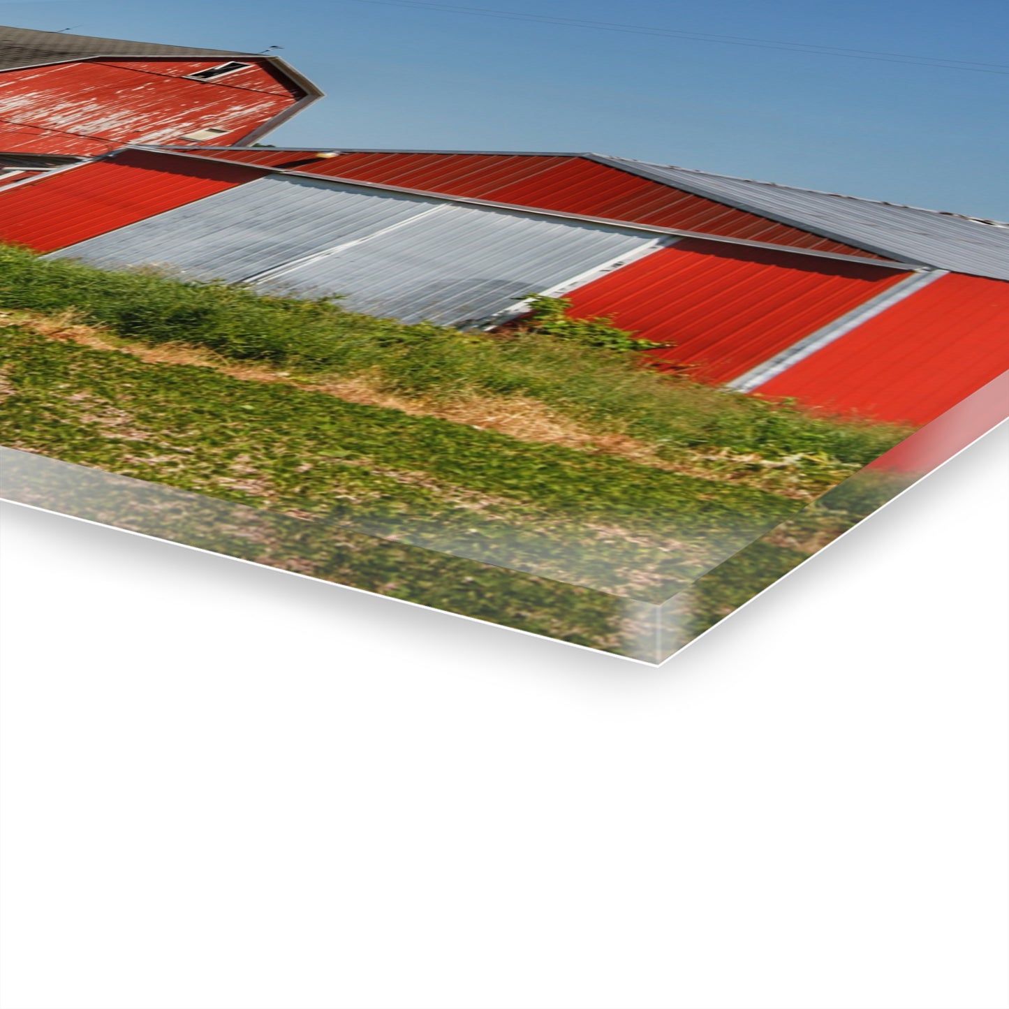 U R There Photography Greenwood Road Red I Rustic Farmhouse Acrylic Wall Print