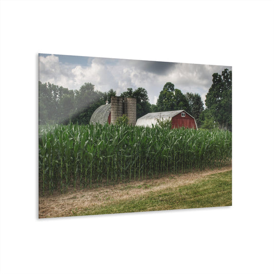 U R There Photography Scotch Settlement Reds Rustic Farmhouse Acrylic Wall Print