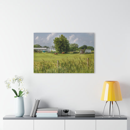 Barn Boutique Modern Farmhouse Acrylic Wall Print| Hunters Creek Chestnuts I