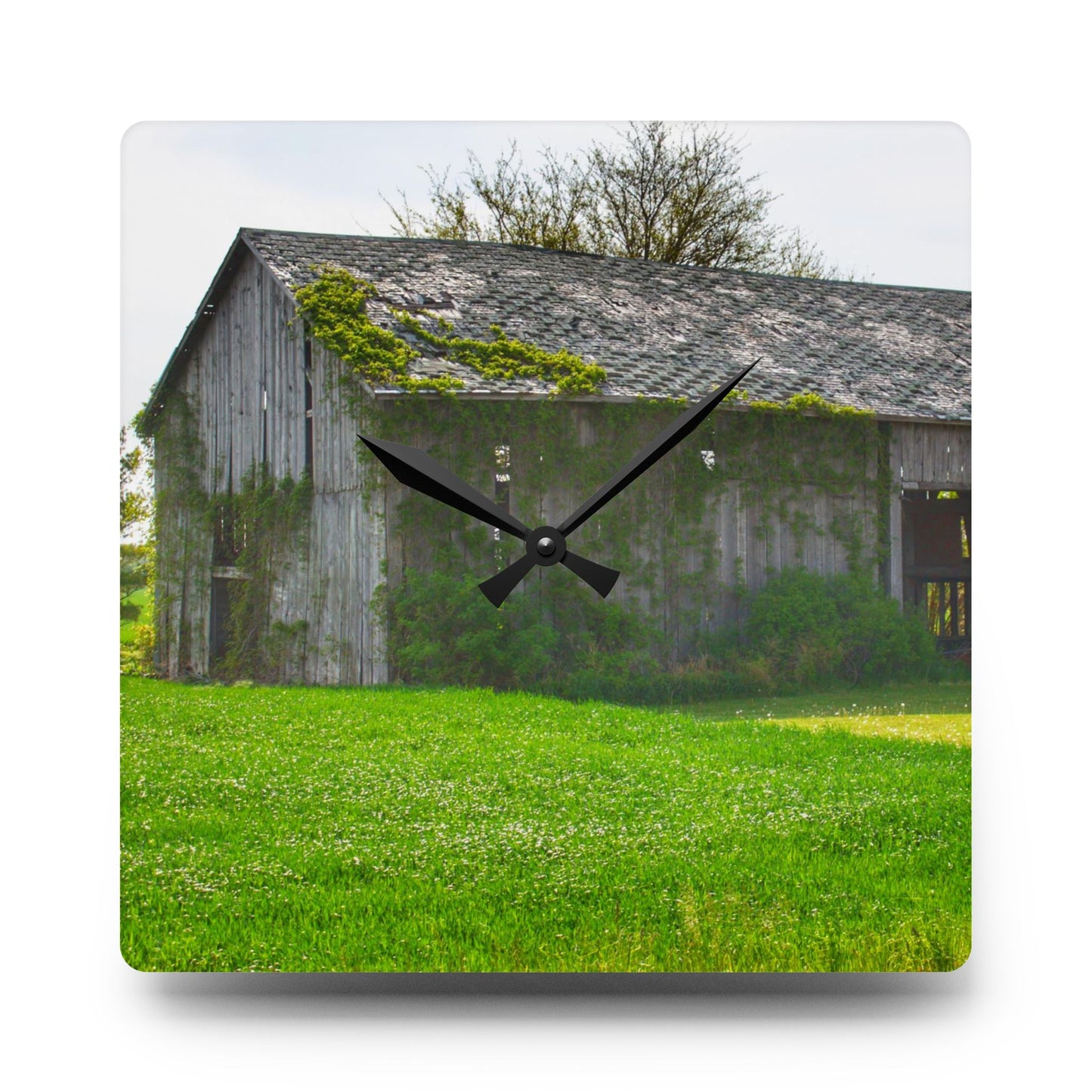 U R There Photography Caro Road Twin Grey I Rustic Farmhouse Acrylic Analog Wall Clock