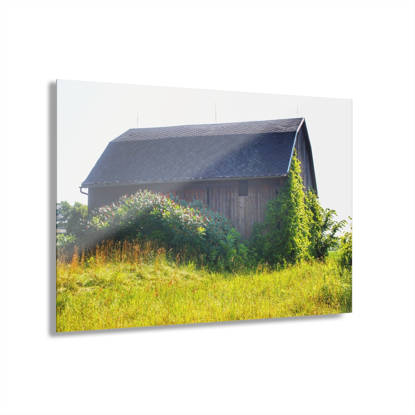 U R There Photography North Lake Pleasant Road Old Grey Rustic Farmhouse Acrylic Wall Print