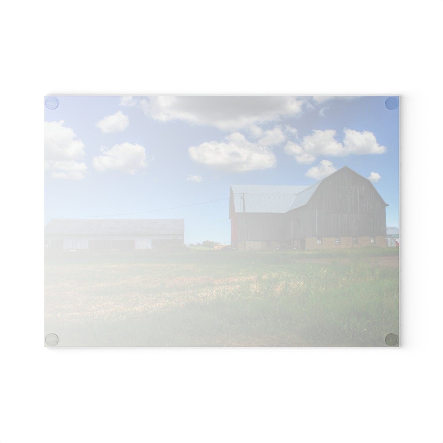 U R There Photography Cass City Elmwood Grey Rustic Farmhouse Tempered-Glass Cutting Board