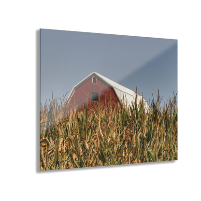 Beyond the Corn Rustic Farmhouse Acrylic Wall Print