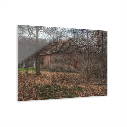 U R There Photography Mayville Hidden Barn II Rustic Farmhouse Acrylic Wall Print