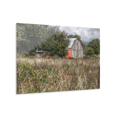 U R There Photography East Frances Road Hidden Grey I Rustic Farmhouse Acrylic Wall Print