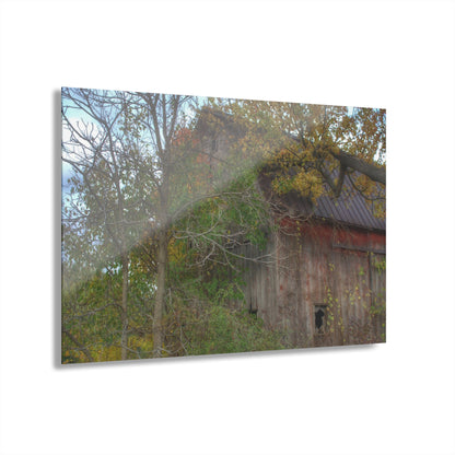 U R There Photography Annie's Barn I Rustic Farmhouse Acrylic Wall Print