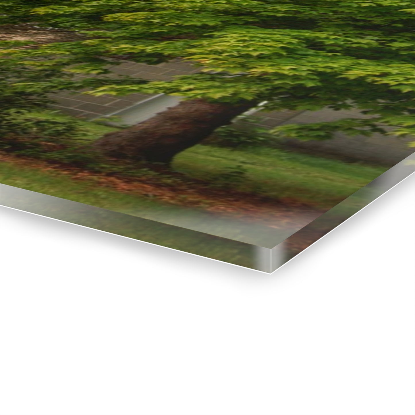 U R There Photography Carpenter Road White I Rustic Farmhouse Acrylic Wall Print