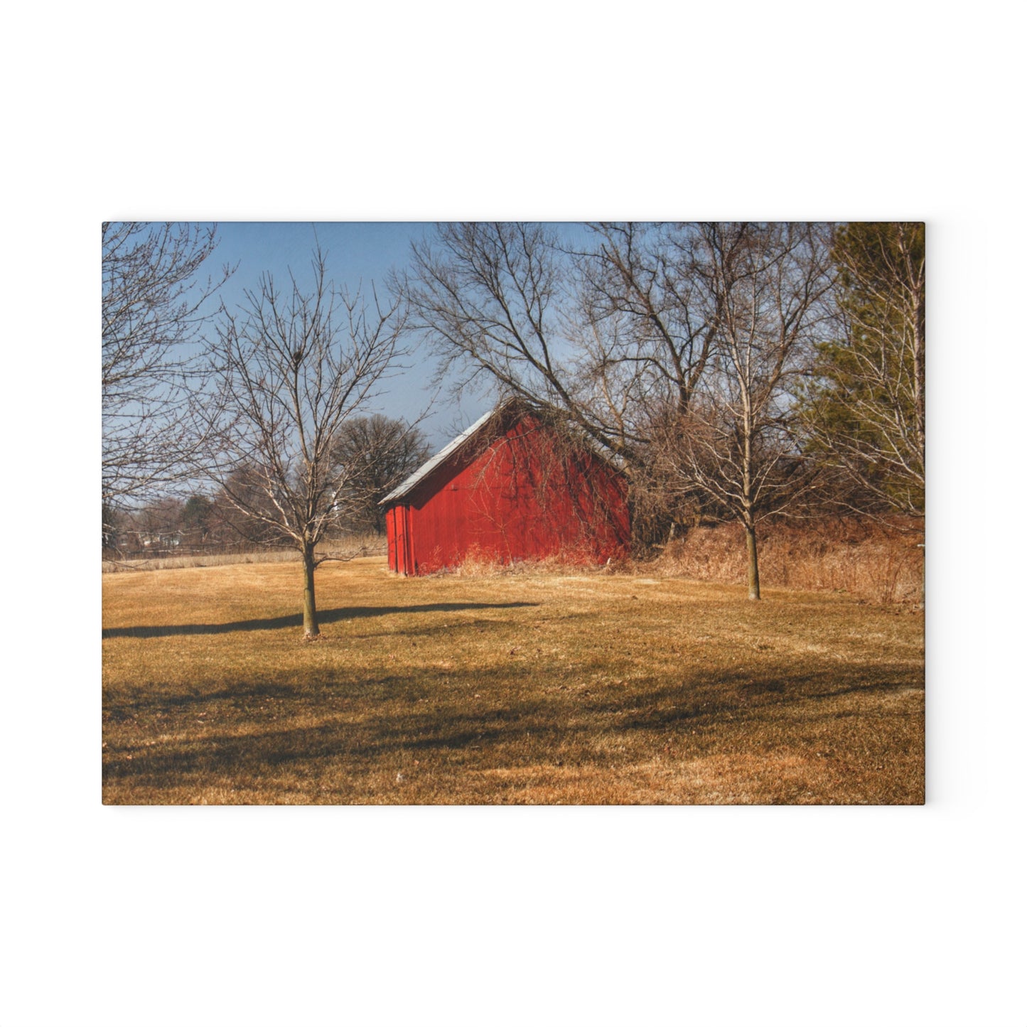 U R There Photography Romeo Plank Little Red Rustic Farmhouse Tempered-Glass Cutting Board