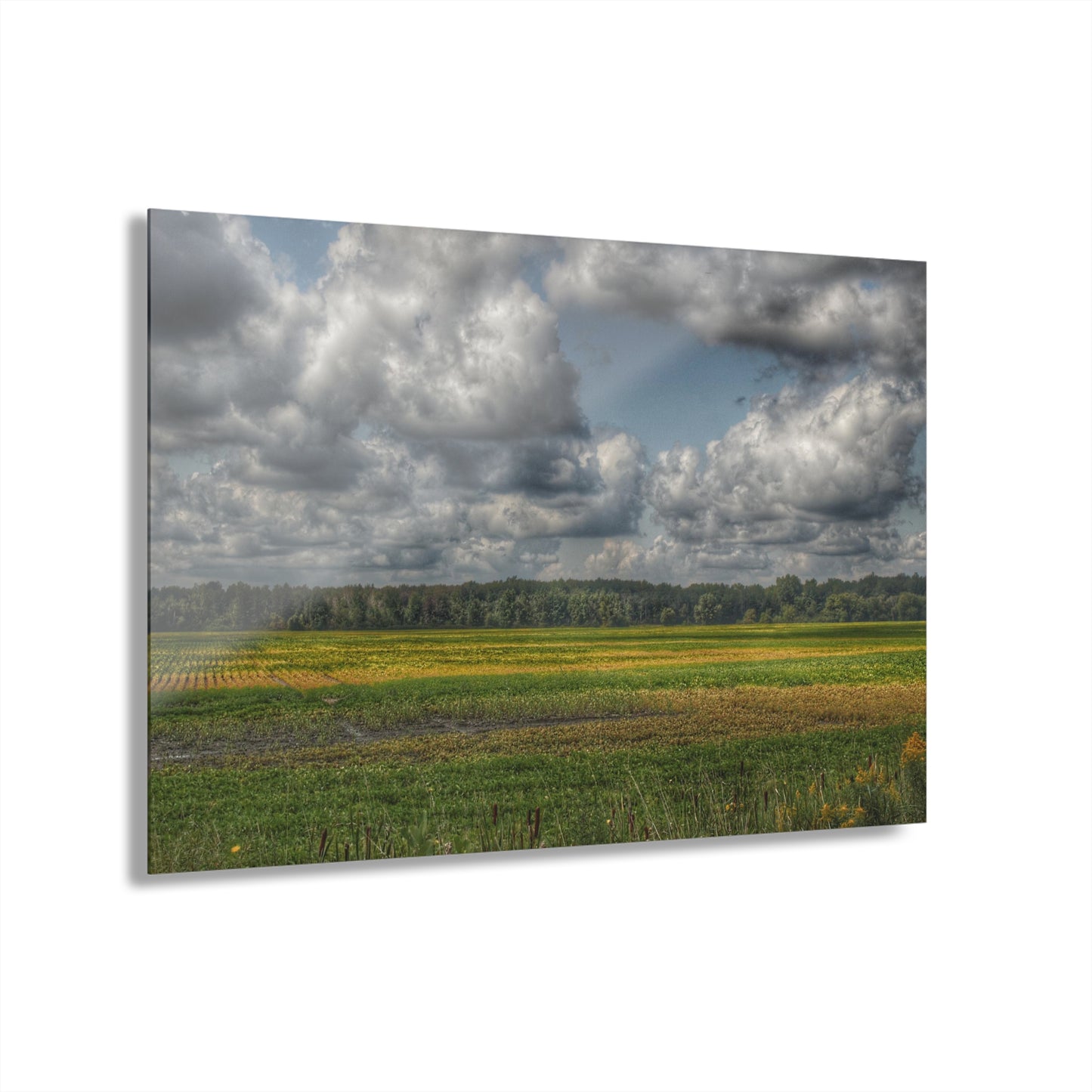 U R There Photography Skies of September Rustic Farmhouse Acrylic Wall Print