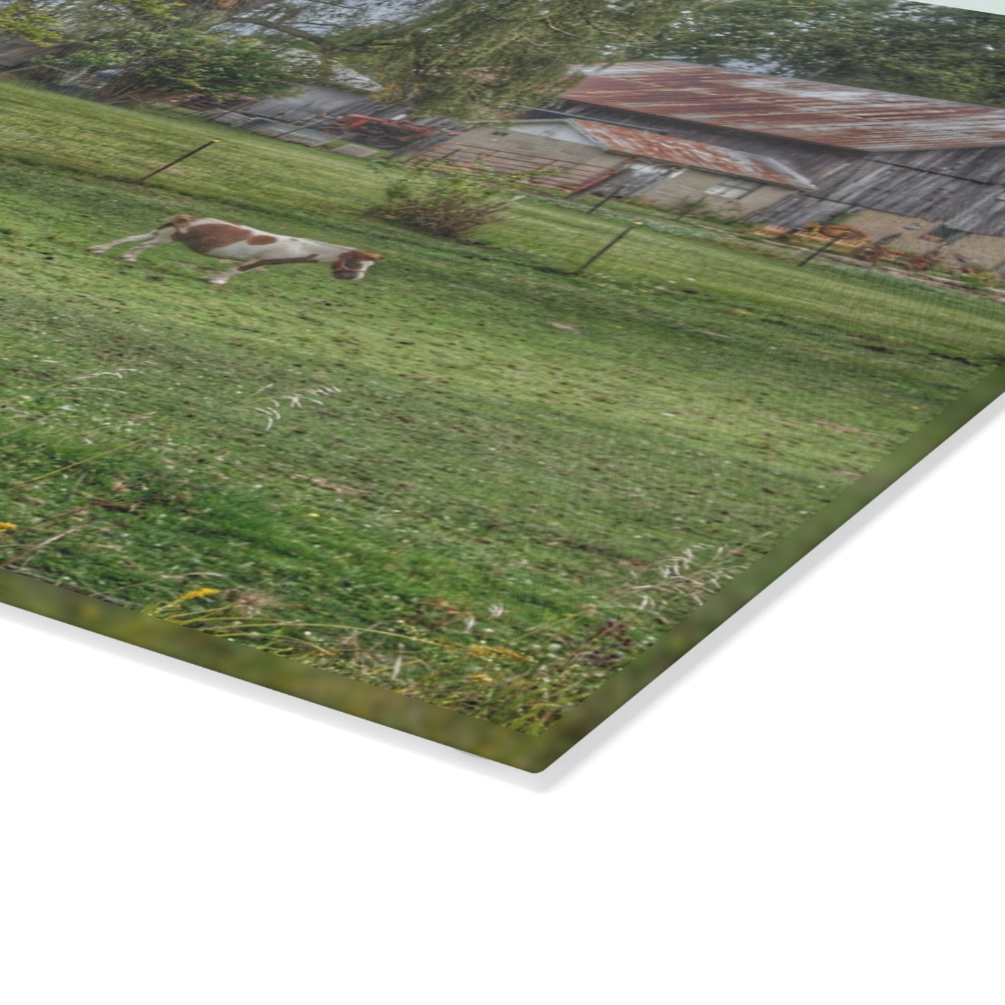 U R There Photography Front Yard Ponies Rustic Farmhouse Tempered-Glass Cutting Board