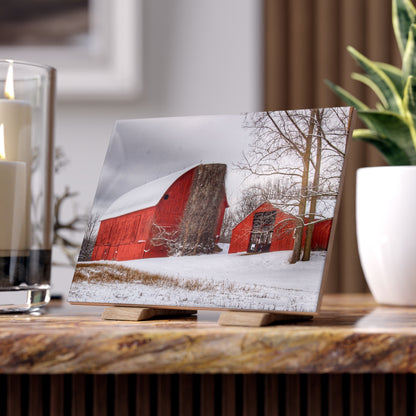 U R There Photography Catlin Reds in Winter I Rustic Farmhouse Decorative Ceramic Tile