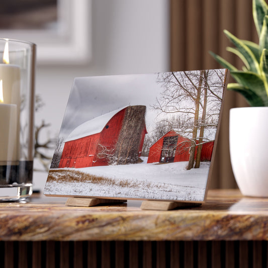U R There Photography Catlin Reds in Winter I Rustic Farmhouse Decorative Ceramic Tile