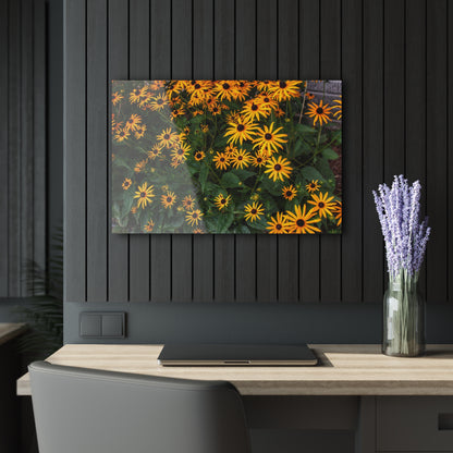 U R There Photography Black-Eyed Susan Rustic Farmhouse Acrylic Wall Print