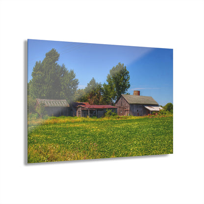 U R There Photography Birch Run Road Greys I Rustic Farmhouse Acrylic Wall Print