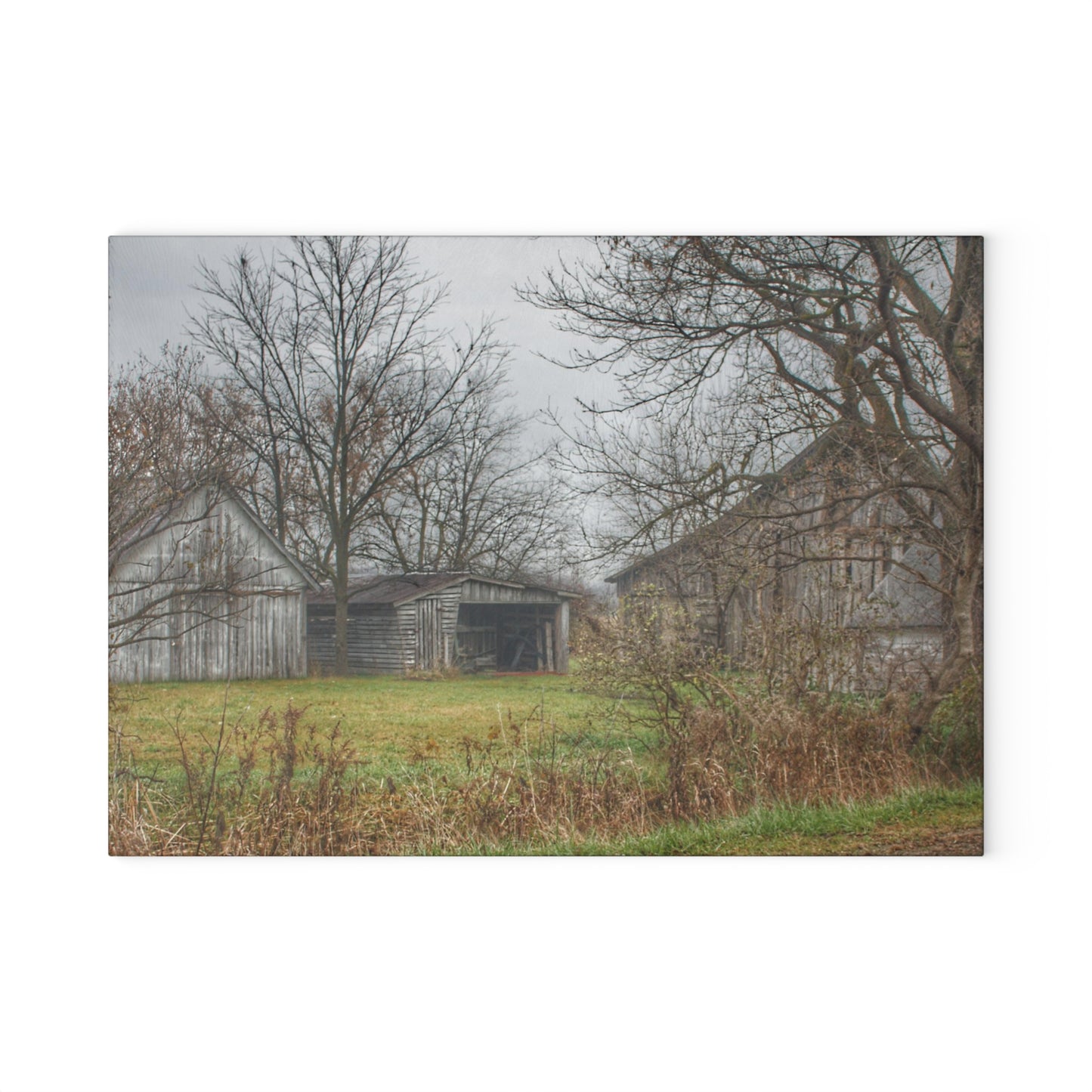 U R There Photography Bowers Road Greys IV Rustic Farmhouse Tempered-Glass Cutting Board